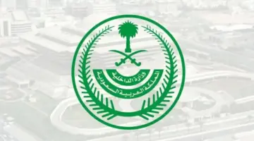 «الداخلية»: غرامة مالية تصل إلى (100.000) ريال بحق من يُؤوي حاملي تأشيرات الزيارة – أخبار السعودية